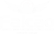 Falcão Engenharia